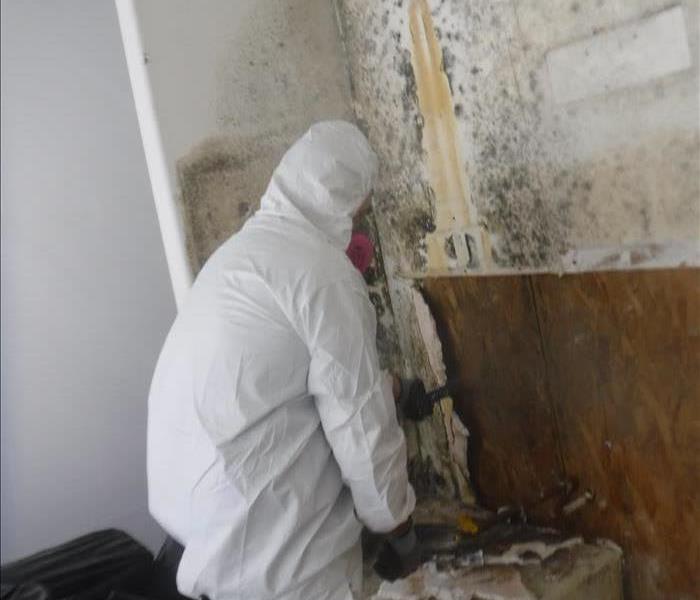 Person doing mold remediation wearing safety gear